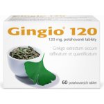 GINGIO POR 120MG TBL FLM 60 – Hledejceny.cz