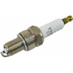 Zapalovací svíčka ALFA BMW CITROEN FIAT FORD MERCEDES BENZ RENAULT VW | Zboží Auto