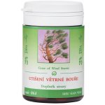 TCM Herbs Utišení větrné bouře 100 tablet – Hledejceny.cz