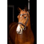 LEMIEUX Uzdečka Arika Dressage Anatomic s anglickým nánosníkem hnědá – Hledejceny.cz