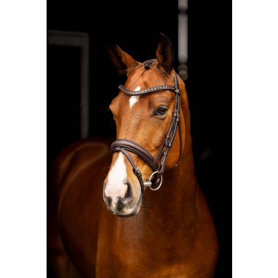 LEMIEUX Uzdečka Arika Dressage Anatomic s anglickým nánosníkem hnědá – Hledejceny.cz