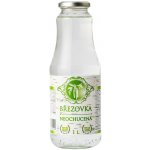 Arax Šťáva březová Bio bez příchutě 1 l – Zboží Dáma