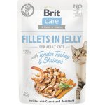 Brit Care Cat Fillets in Jelly Turkey&Shrimps 85 g – Hledejceny.cz
