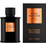 David Beckham Bold Instinct parfémovaná voda pánská 75 ml – Zboží Mobilmania