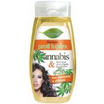 BC Bione Cosmetics Bio Cannabis šampon na vlasy proti lupům 260 ml – Zboží Dáma