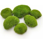 mech-mech.cz Ball Moss - kopečkový mech - světle zelená - 200g - SWE – Zboží Mobilmania