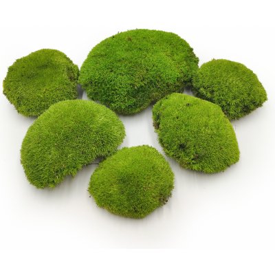 mech-mech.cz Ball Moss - kopečkový mech - světle zelená - 200g - SWE – Zboží Mobilmania