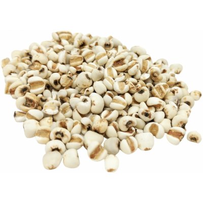 Les Fruits du Paradis Slzovka obecná 250 g – Sleviste.cz