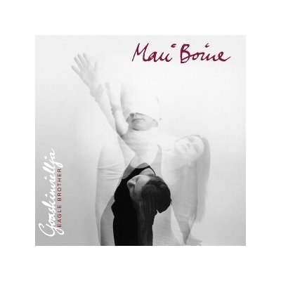 Mari Boine - Goaskinviellja - Eagle Brother LP – Hledejceny.cz