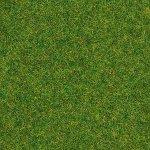Noch Statická tráva okrasný trávník 2,5 mm 20 g 08314 – Hledejceny.cz