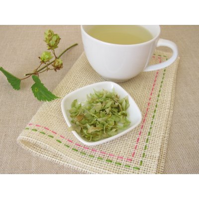 Natubea Chmel bylinný vlasový oplach 35 g – Hledejceny.cz