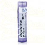 PHOSPHORICUM ACIDUM POR 30CH GRA 4G – Hledejceny.cz