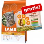 Iams ProActive Health Adult Original kuře 3 kg – Hledejceny.cz
