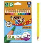 Bic Evolution Triangle 12 barev BIC 8871463 – Zboží Živě