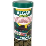 Prodac Algae Wafers 250 ml, 125 g – Hledejceny.cz