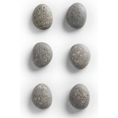 Zeller Magnety pro poznámky Stone polyresin 6 ks – Zbozi.Blesk.cz