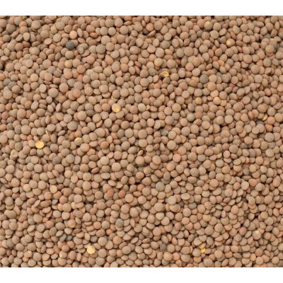 Les fruits du paradis Čočka hnědá Bio 25 kg – Zboží Dáma