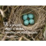 Madal Bal magnet na lednici Medituj na Láska Sri Chinmoy – Hledejceny.cz