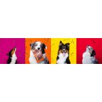 Marp Holistic Plus hovězí pamlsky pro psy 80 g – Hledejceny.cz