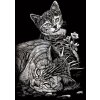 Škrábací  obrázek Seškrabovací obrázek mini Stříbrný Kočička a kotě