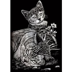 Seškrabovací obrázek mini Stříbrný Kočička a kotě