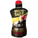 Energetický gel pro sportovce EthicSport MALTOSHOT ENDURANCE 50 ml