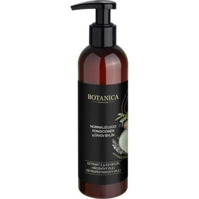 Soaphoria Botanica Slavica kondicionér na vlasy 9 divů bylin 250 ml – Hledejceny.cz