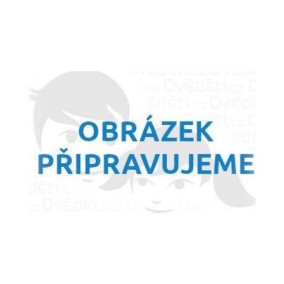 Přívěsek na klíče Dvěděti Dřevěná Beruška – Zbozi.Blesk.cz
