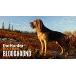 theHunter: Call of the Wild - Bloodhound – Hledejceny.cz