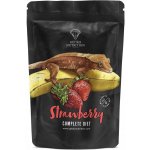 Gecko Nutrition banán 50 g – Zboží Dáma