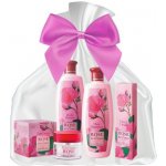 Biofresh Rose of Bulgaria šampon na vlasy 330 ml + mýdlo 100 g + krém na ruce 75 ml dárková sada – Hledejceny.cz