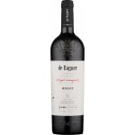 Klet Brda De Baguer Single Vineyard Merlot 2019 Červené 14,5% 0,75 l (holá láhev) – Hledejceny.cz