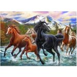 Norimpex Diamantové malování Koně ve vodě 30 x 40 cm – Zbozi.Blesk.cz