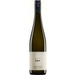 Rainer Wess Kremstal Riesling DAC 2019 12,5% 0,75 l (holá láhev) – Hledejceny.cz