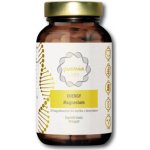 Puravia labs Magnesium Energy 90 kapslí – Hledejceny.cz