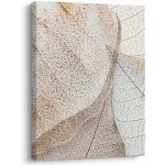 Obraz - Béžové listy, jednodílný 30x40 cm – Hledejceny.cz