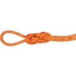 Mammut Alpine Dry 8 mm 60 m – Zboží Dáma