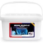 Equine America More Muscle Pellets pro budovaní svalové hmoty 3 kg – Hledejceny.cz