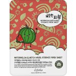 Esfolio Pure Skin Watermelon Essence Mask Sheet 25 ml – Zboží Dáma
