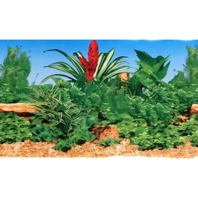 Aqua Nova tapeta Red gravel and rocks 60 x 60 cm – Zboží Dáma