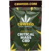 Květy konopí CBWEED CBD konopí Critical Mass CBD 0,3 % THC 5 g