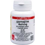 Sinecura Gumojilm duzhong prášek 20 g – Hledejceny.cz