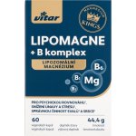 Vitar LIPOMAGNE+B komplex 60 kapslí – Hledejceny.cz