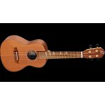 Ortega RUTI-CC – Zbozi.Blesk.cz