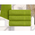 Clarysse ELEGANCE 70 x 140 cm zelená – Sleviste.cz