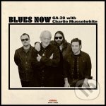 GA-20 - Blues Now CD – Hledejceny.cz
