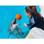 Marineland Francie 2 dospělí 1 dítě Marineland 5 dní – Zboží Dáma