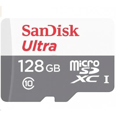 Sandisk MicroSDXC UHS-I 256 GB SDSQUNR-256G-GN3MN – Sleviste.cz