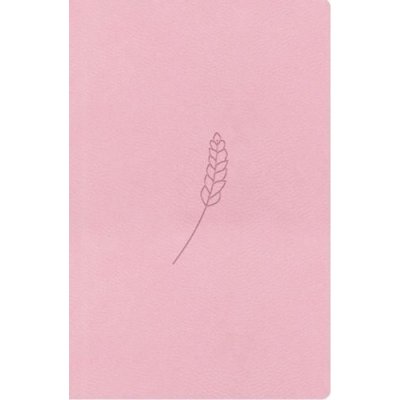 Bible, překlad 21. století (růže) - kapesní – Hledejceny.cz