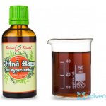Bylinné kapky Štítná žláza hyperfunkce kapky 50 ml – Hledejceny.cz